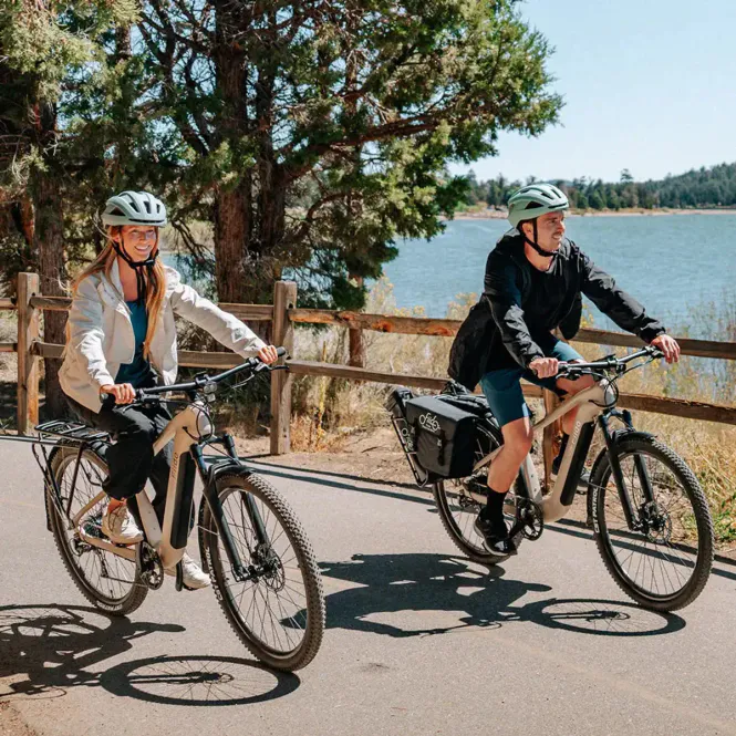 Hovedbilde Fiido Nomads Touring - elsykkel for tur og ...