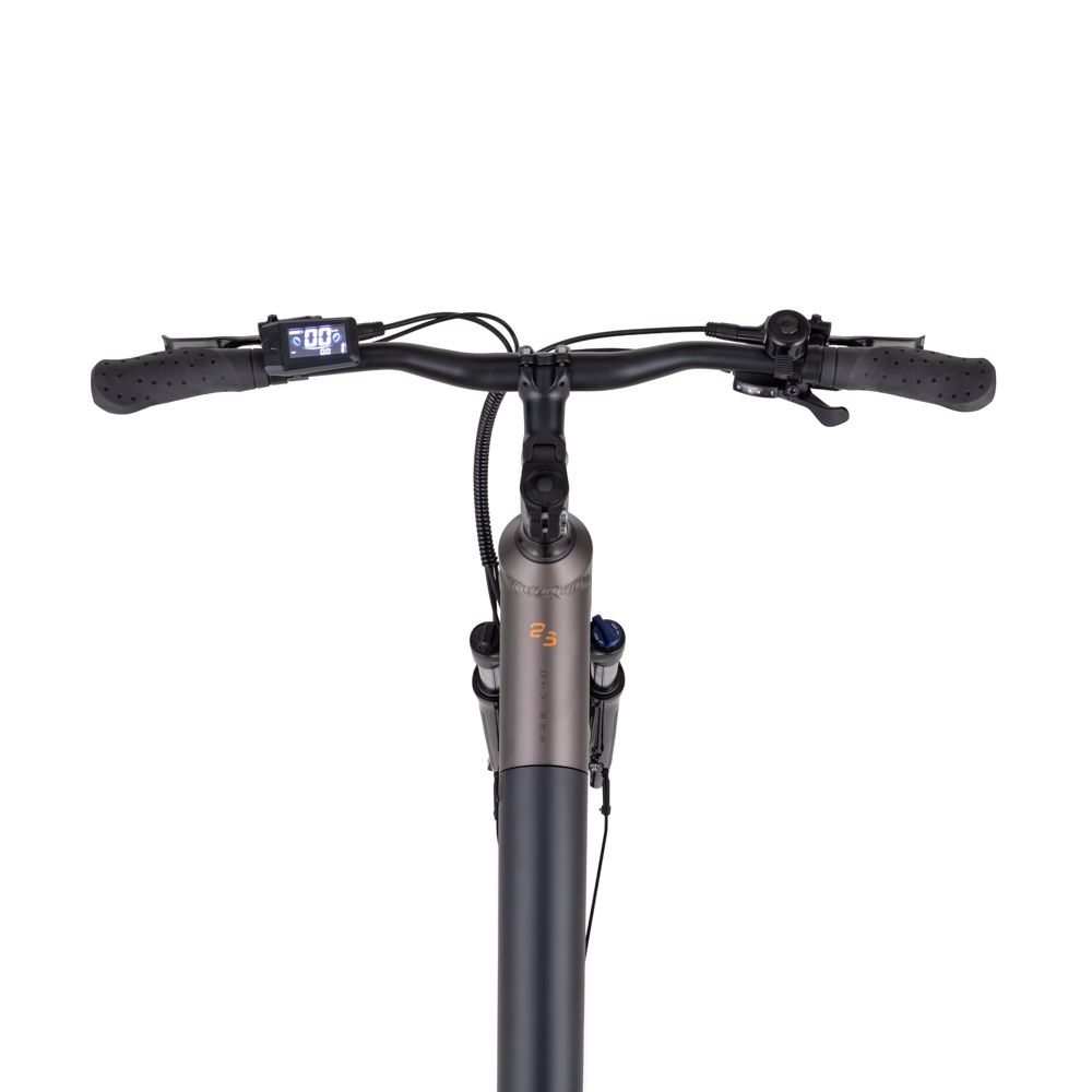 inSPORTline Urban E-Bike ISL Eclion 648 Wh fargevalg 16